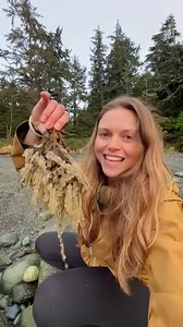 16K views · 192 reactions | Have you seen the herring spawn?! 朗...