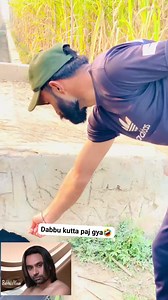 365K views · 9.7K reactions | @topfans Sidhu Moose Wala Jagga Virk Kaloudi Sidhu moose wala fans club Sidhu Moose Wala Fan Club @ #shortsreels #viralreelsシ #videoviralシ #FacebookReelsContest #facebookreelsviral #trandingreels #sidhumoosewalastatus #sidhumoosewalafans #sidhumoosewala_only #sidhumoosewalanewsong | Baitu 295 | Facebook