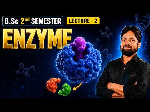 B.Sc. 2nd Semester || Enzyme Lecture 2 ||