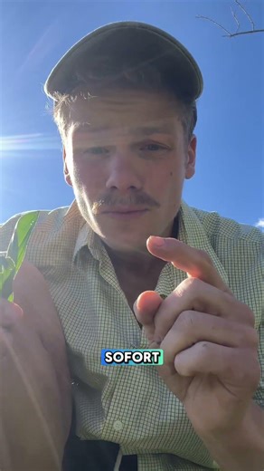 Plantain against Big Pharma