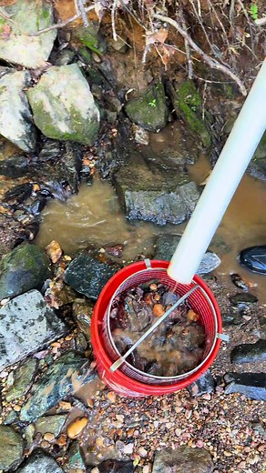 Cracking Bedrock for Gold: Practical Gold Prospecting Techniques