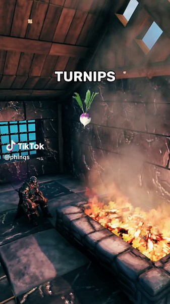 TikTok - Make Your Day