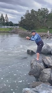 A nice little Trev at our local. | My Catch Australia