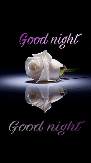 Good Night Wishes💕: Share Love and Positivity with Beautiful Goodnight Images