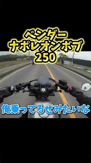 [BENDA] Napoleon Bob 250 Riding Footage! #RedWingMan #Benda #NapoleonBob #Rental819