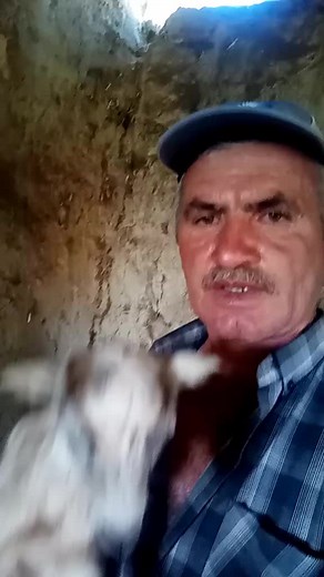 Caring for Baby Goats: Tips and Insights