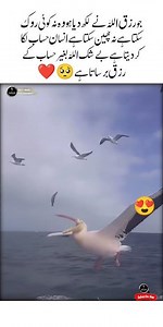 Rizq barsata hai 🥺😍islamic quote | heart touching | emotional vedios | sad moments | golden |#shorts