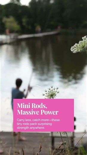 Compact Fishing Rods for Easy Travel