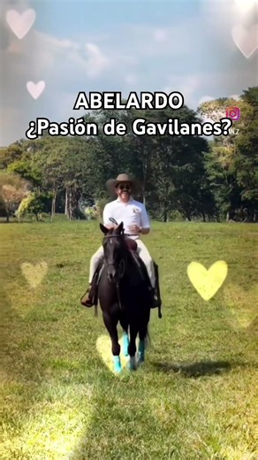Abelardo: Pasión de Gavilanes