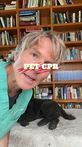 28K views · 686 reactions | How To Do Pet CPR #cpr #cprdog #petcpr #veterinarian | Daily Pet Tips | Facebook