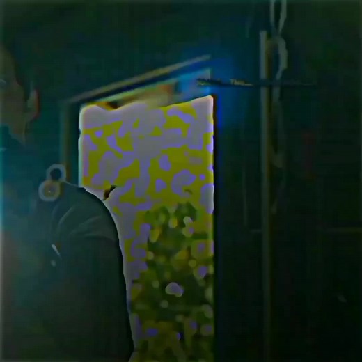 Che on trends)?#soniccat #tails #Sonic #sonicthehedgehog #tailsthefox #Sonic #SONICPRIME