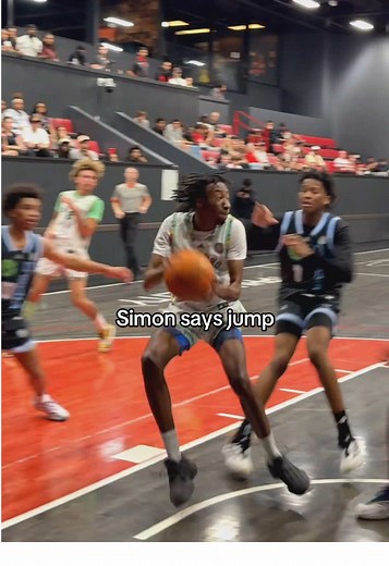 Simon Says Jump: Fun Basketball Drills for Dogs