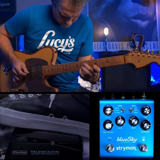 1.2K views | The Strymon pedal that revolutionized compact reverb...