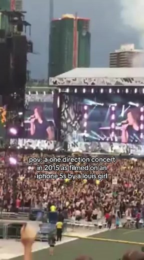 Memories of a One Direction Concert in 2015 | Cherishing the Past