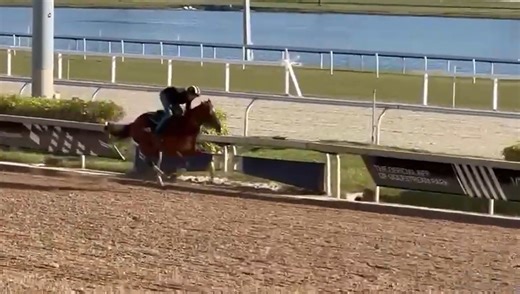 6.8K views · 146 reactions | Another sharp breeze from Nakoma yesterday morning! ⚡️ Our daughter of Vekoma continues to build up her fitness and progress in the right direction. | MyRacehorse | Facebook