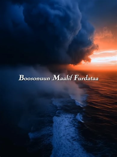 ~haacaaluu hunddeessaa ~ koololaniitoo #oromomusic #oromo #music #viral #oblyrics