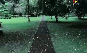 🇨🇲Cameroon : The city of Limbe has beautiful Botanic Gardens, which is the second-best garden in Africa. It was created in 1892 by Dr. Paul Preuss, (a German Horticulturist). The Botanic Garden is a gateway to the riches of the Mount Cameroon region, an area internationally classified among the world’s biodiversity environments. It was used for the introduction and acclimatisation of exotic plants with economic and medicinal value. Lying at the foothill of Mount Cameroon, the Limbe Botanic Gar