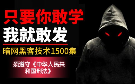 只要你敢学我就敢发！暗网黑客技术 | 渗透测试 | 黑客攻防 | 内网渗透 | 漏洞挖掘教程全套1000集！学不会我退出网络安全圈！
