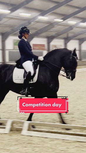 #fyp #fy #foryou #foryoupage #friesianhorse #friesian #friesiansporthorse #friesianstallion #dressage #equestrianstyle #equestrianlifestyle #stallion