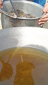 Frying porcupine fish | Rosalie C. Arellano