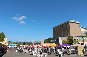 開催スケジュール