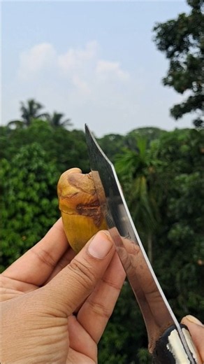 mini Coconuts Cutting 🥥😋😝 #shortsfeed #viralvideo #trending