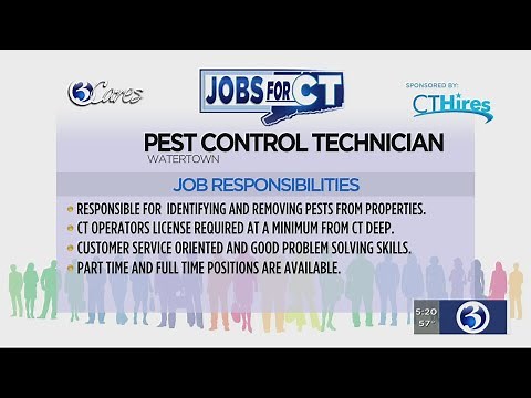 Jobs for CT: Pest control technician