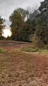 🚜💩 Case Tractor Hauling Manure – Real Farming Sound 🌾 #case #caseih #tractor #farming #agriculture | BClaude Benton