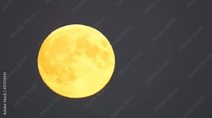 Full moon close up during an early evening. The moon is moving from low left to up right.