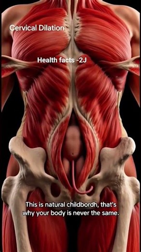 How a Baby is Born Naturally | Normal Delivery Guide#NormalDelivery #NaturalBirth #PregnancyJourney