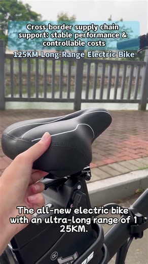 Cross border supply chain support stable performance amp controllable costs #chamrider #ebike
