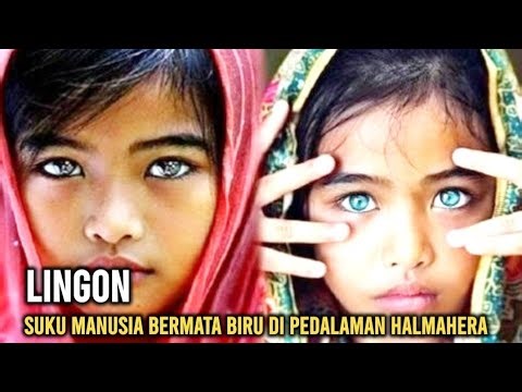 lingon, suku manusia bermata biru di pedalaman halmahera
