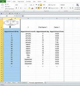 Checkbox Persons appointments Appointment calendar with pictures in Excel VBA