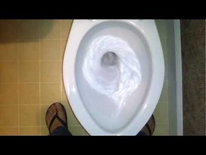 Bathroom Tour: Awesome Crane Toilet at The Drop in center