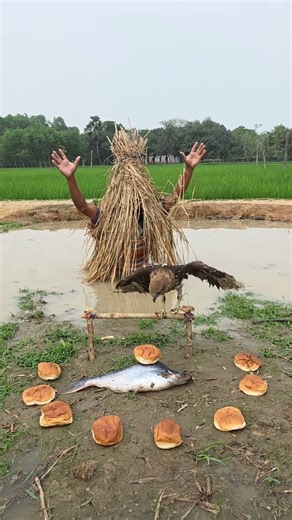 Amazing technique for catching birds🤔🤔 #funny