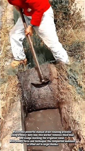 Satisfying Mud Removal from Irrigation Canal! #shorts