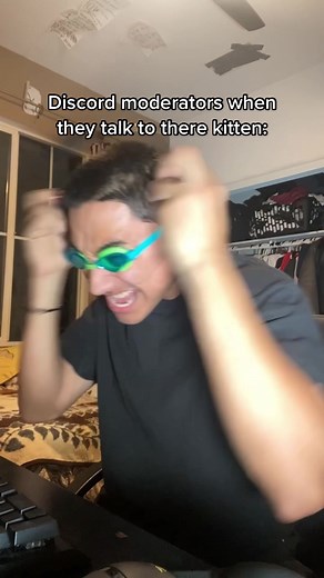 Discord Kitten Meme: The Hilarious Chat