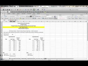Chapter 2 - Net Present Value
