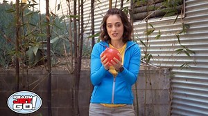 Ready Jet Go! - Gravity Video | PBS KIDS