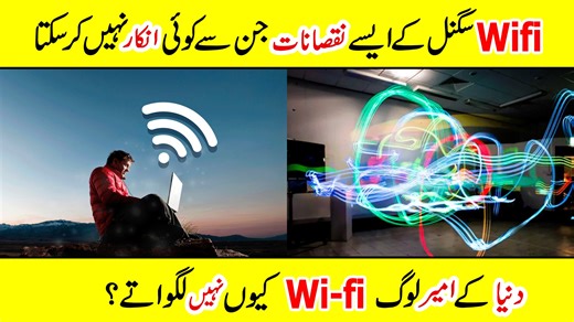 696K views · 17K reactions | WiFi Signals Benefits and Side Effects WiFi makes our life easier by connecting everything around us — but does it have any side effects? Discover both the benefits and possible risks of WiFi signals in daily life. #wifi #technology #internet #health #sciencefacts #technews #wifiimpact | Amazing Info | Facebook