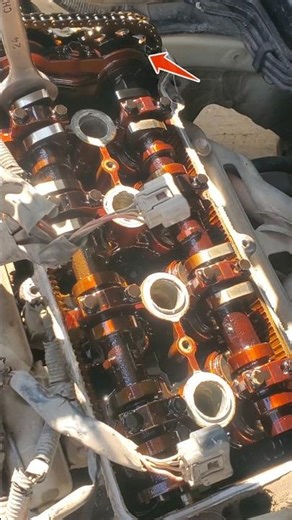 How to Check Engine Timing Properly 🔧 #youtube #shorts #timing