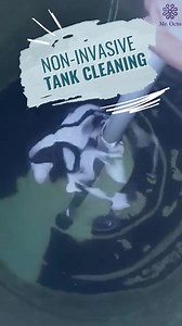 Clean Tank➡️Clean Water➡️Healthy Body Get your tanks cleaned today and ensure you and your family are safe from unwanted diseases ! We promise ☑️ Chemical-free tank cleaning ☑️ Non- Invasive procedure ☑️ Robotic technology | Mr Octo