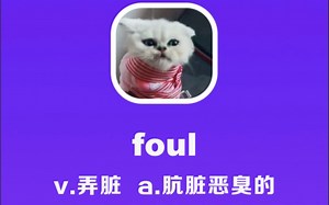 foul：弄脏，肮脏恶臭的_哔哩哔哩_bilibili
