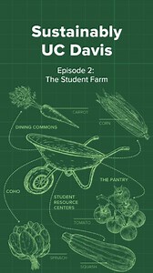 6.1K views · 64 reactions | At the UC Davis Student Farm, students...