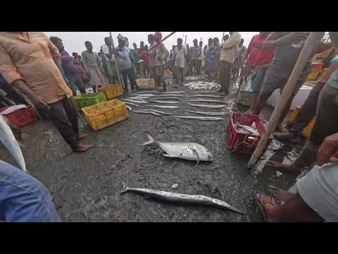 Machilipatnam Beach lo fish market
