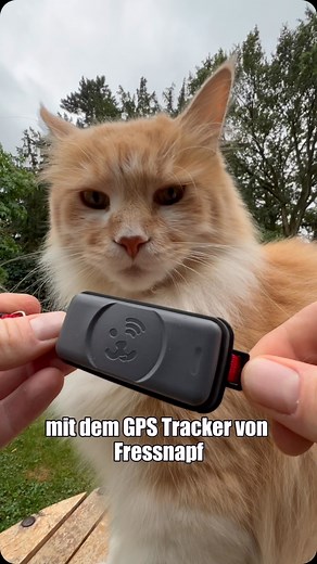 Nils Jacobi / THE CATOGRAPHER on Instagram: "Anzeige | Habt ihr auch schon die Lieblingsorte eurer Katzen mit GPS ausfindig gemacht? 🧭🐱 Wenn ja, schreibt mal ein paar interessante Orte in die Kommentare, die eure Katze gerne besucht. ℹ️ Mit dem Code fritz15 erhaltet ihr 15 Euro Rabatt auf jede Katzentrackerfarbe, noch bis zum Ende des Jahres. #furryfritz #fressnapf #katzen #fressnapftracker #katzentracker #gpstracker #freigängerkatze #katze"