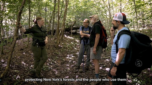 1.9K views | The NYS Careers in Entry Level Law Enforcement Exam offers you the opportunity to apply for multiple opportunities after a single exam. Sign up today at cs.ny.gov/police | NYS Department of Civil Service | Facebook
