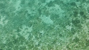 🎥 𝗘𝗳𝗳𝗲𝗰𝘁𝗶𝘃𝗲 𝘁𝗲𝗮𝗰𝗵𝗶𝗻𝗴 𝘀𝘁𝗿𝗮𝘁𝗲𝗴𝗶𝗲𝘀 - 𝗬𝗲𝗮𝗿 𝟯 𝗠𝗮𝘁𝗵𝗲𝗺𝗮𝘁𝗶𝗰𝘀 This video showcases effective teaching strategies for Year 3 mathematics, demonstrating how to make mathematical concepts engaging and accessible for young learners. Teachers will observe practical classroom techniques that help students build strong foundational skills in mathematics through interactive and hands-on learning approaches. The video was developed through the Solomon Islands Education 