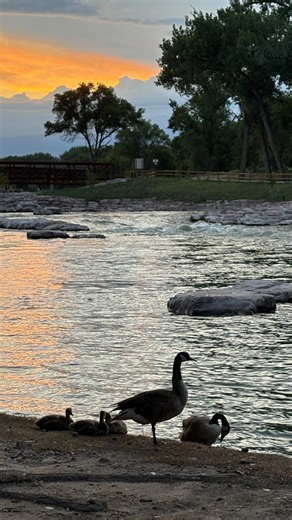 80K views · 421 reactions | It’s finally October!! I love making these pumpkins This is my own design/pattern ✨ #pumpkin #october #crochetedwithlove | Emily’s Crochet Shop | Facebook