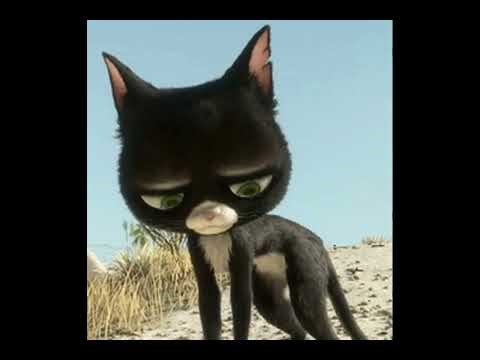 Are you feeling ok ‪@Felixthecat_1919‬? i heard that you were Sick.....